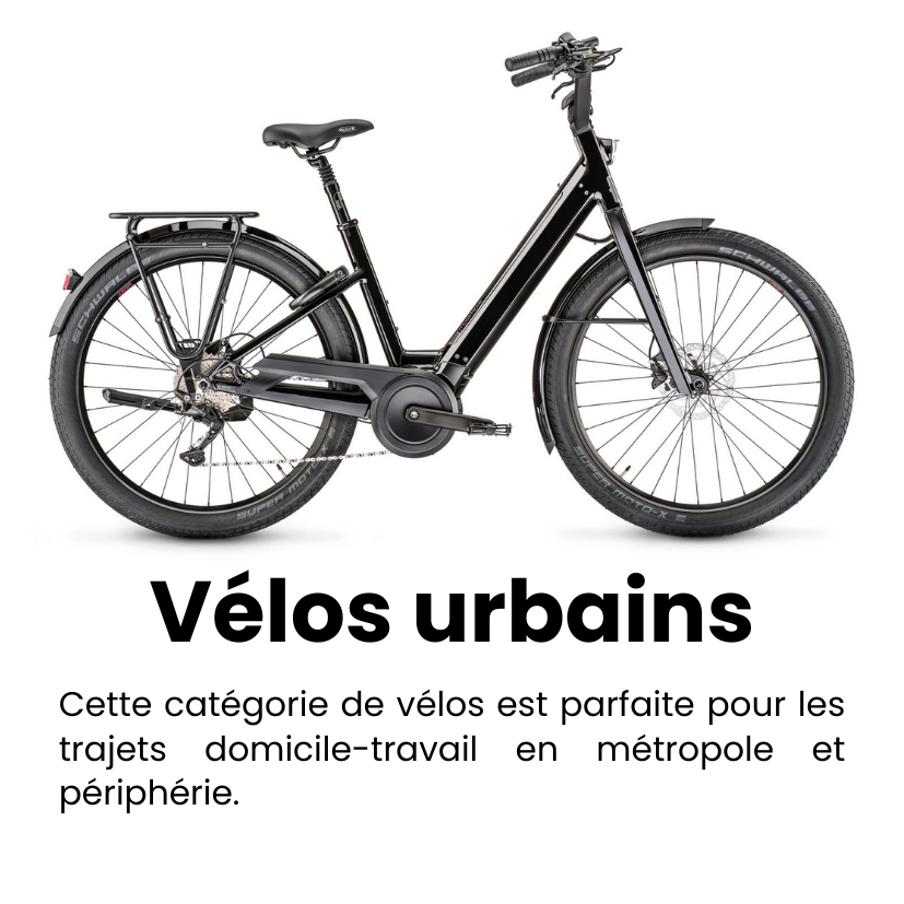 2-Jan-19-2026-03-14-05-3785-PM