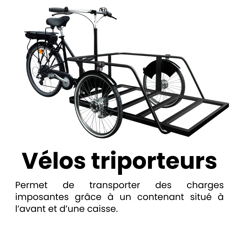 6-Jan-19-2026-03-14-05-3950-PM