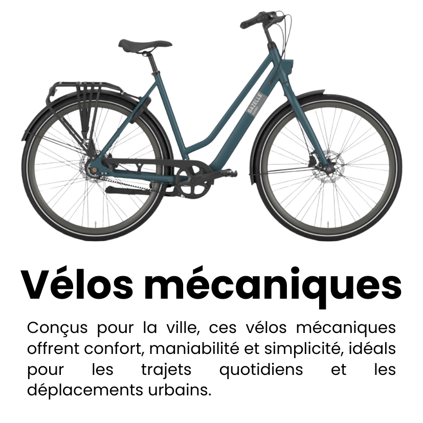 8-Jan-19-2026-03-14-05-5228-PM